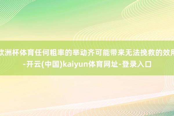 欧洲杯体育任何粗率的举动齐可能带来无法挽救的效用-开云(中国)kaiyun体育网址-登录入口