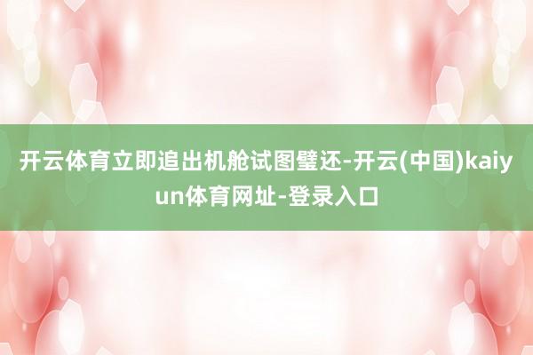 开云体育立即追出机舱试图璧还-开云(中国)kaiyun体育网址-登录入口