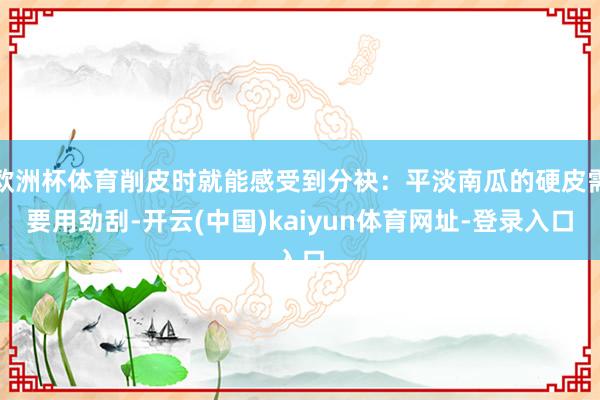 欧洲杯体育削皮时就能感受到分袂：平淡南瓜的硬皮需要用劲刮-开云(中国)kaiyun体育网址-登录入口