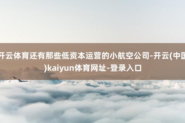 开云体育还有那些低资本运营的小航空公司-开云(中国)kaiyun体育网址-登录入口