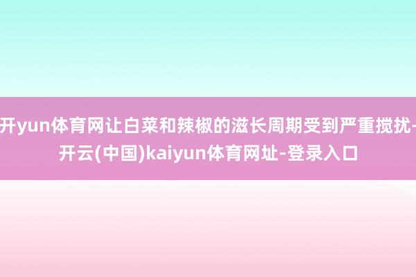 开yun体育网让白菜和辣椒的滋长周期受到严重搅扰-开云(中国)kaiyun体育网址-登录入口