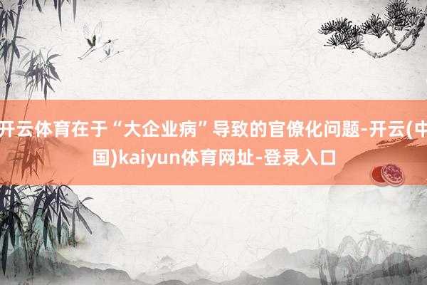 开云体育在于“大企业病”导致的官僚化问题-开云(中国)kaiyun体育网址-登录入口