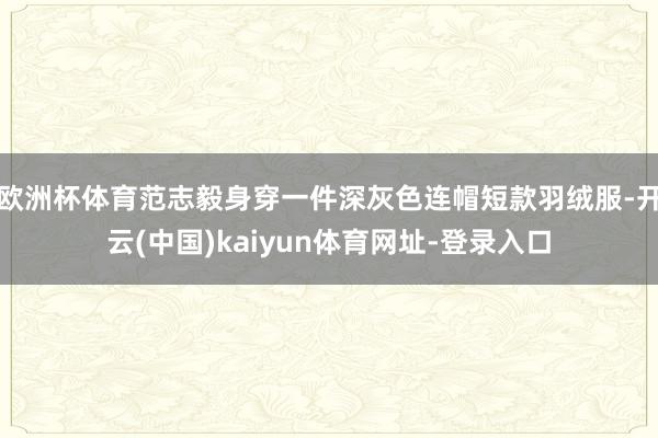 欧洲杯体育范志毅身穿一件深灰色连帽短款羽绒服-开云(中国)kaiyun体育网址-登录入口