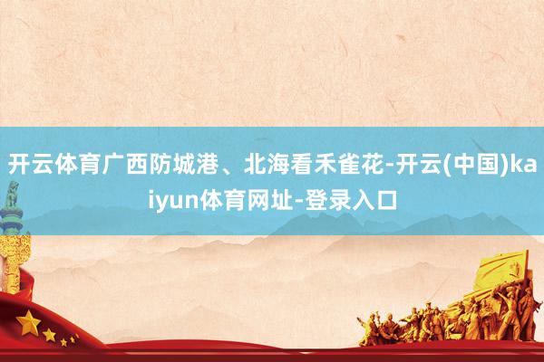 开云体育广西防城港、北海看禾雀花-开云(中国)kaiyun体育网址-登录入口