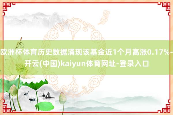 欧洲杯体育历史数据涌现该基金近1个月高涨0.17%-开云(中国)kaiyun体育网址-登录入口