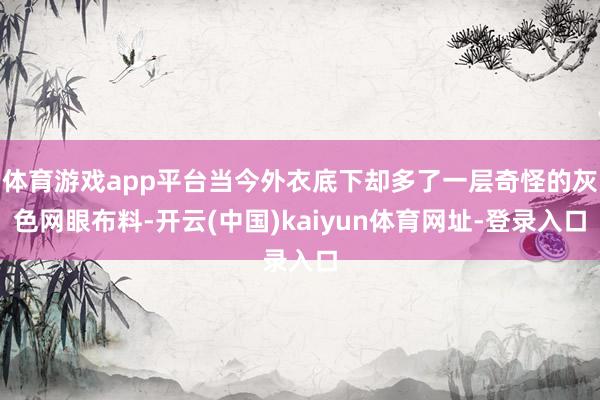 体育游戏app平台当今外衣底下却多了一层奇怪的灰色网眼布料-开云(中国)kaiyun体育网址-登录入口