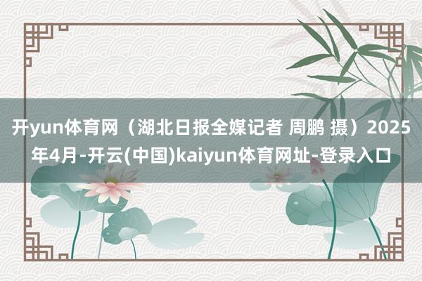 开yun体育网（湖北日报全媒记者 周鹏 摄）2025年4月-开云(中国)kaiyun体育网址-登录入口