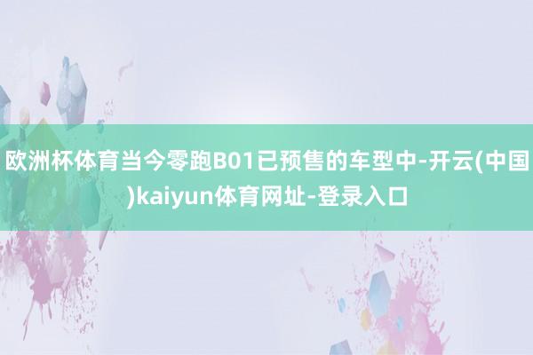 欧洲杯体育当今零跑B01已预售的车型中-开云(中国)kaiyun体育网址-登录入口