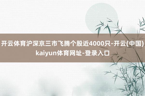 开云体育沪深京三市飞腾个股近4000只-开云(中国)kaiyun体育网址-登录入口