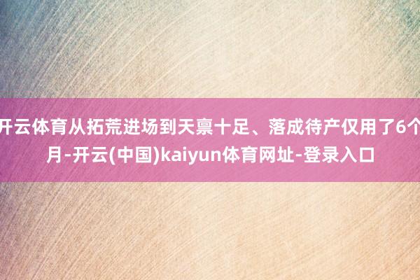 开云体育从拓荒进场到天禀十足、落成待产仅用了6个月-开云(中国)kaiyun体育网址-登录入口
